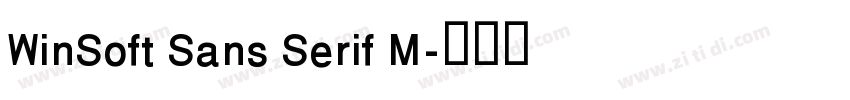 WinSoft Sans Serif M字体转换